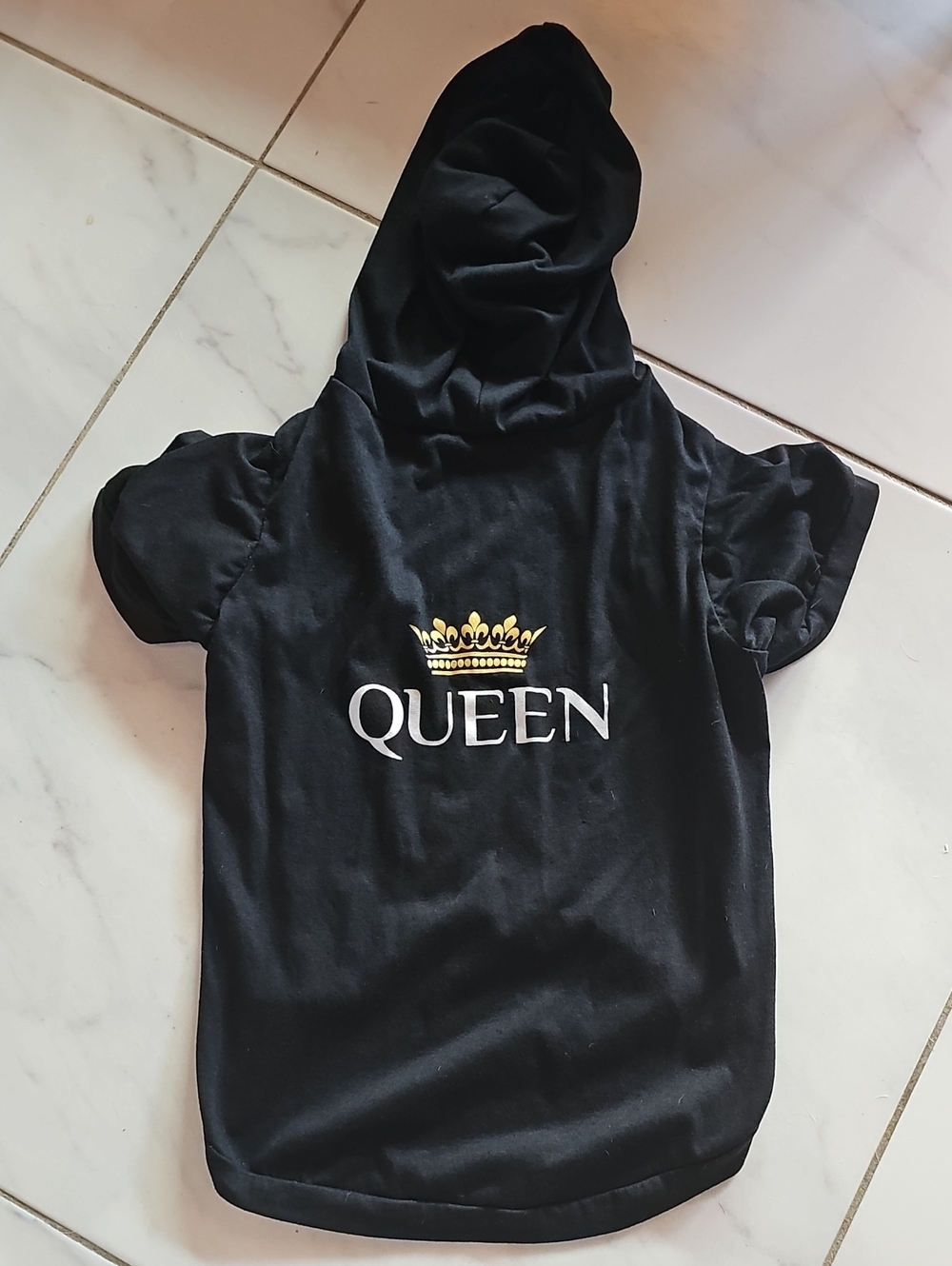 Queen DoggyTop